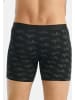 Adidas Sportswear Long Short / Pant Active Flex Cotton in Schwarz / petrol