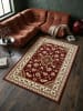 KADIMA DESIGN Kurzflor-Teppich Pflegeleicht GLAZERT Floral Strapazierfähig in Rot