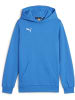 Puma Hoodie "TeamGoal CasuaLongsleeve Hoody Jr" in Blau