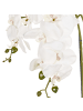 Beliani Kunstpflanze ORCHID in Grün/Weiß - (W) 22 x (H) 59 x (L) 22 cm