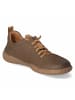 Josef Seibel Schnürhalbschuh in brown