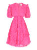 IZIA Women Dress in fuchsia