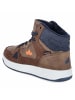 Lico High Sneaker COLDEN in braun