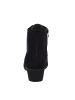 Solidus Stiefeletten/Boot in schwarz