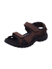 Ecco Herrensandalette Trecking Outdoor in  Braun