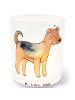 Mr. & Mrs. Panda Windlicht Glas Airedale Terrier Moment ohne Spruch in Transparent