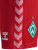 Hummel Hummel Shorts Wer 23/24 Fußball Unisex Kinder Feuchtigkeitsabsorbierenden in TRUE RED