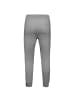 Alpha Industries Jogginghose Basic Jogger AI in grau