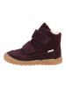 PEPINO Stiefelette DAVIS Pflaume