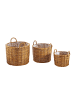 kobolo 3tlg. Set Blumentopf LACAKPOTSET in Braun