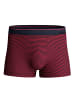 Calida New Boxer in garnet