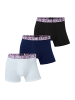CR7 CRISTIANO RONALDO Retro Pants Organic Cotton in Multicolour 2