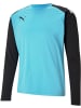 Puma Sportshirt "TeamPACER GK Longsleeve Jersey" in Blau