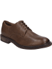 Josef Seibel Halbschuh Bradley 01 in braun