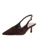 Steve Madden Pumps KORRA in Coffee