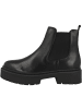 Steve Madden Chelsea Boots Glennis in schwarz