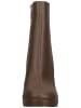 Steve Madden Stiefelette in Dunkelbraun