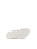 Gabor Riemchen Sandalen für Damen in beige