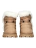 Steve Madden Stiefelette Tan