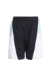 Under Armour Shorts Curry Splash in schwarz