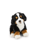 Nici Kuscheltier Hund Berner Sennenhund, Lifelike Kollektion, 20cm
