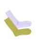 DillySocks Socken 2er Pack Premium Ribbed in Ribbed Modern Pastels