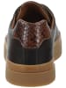 GANT Footwear Sneaker AVONA in Dunkelbraun