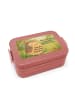Mr. & Mrs. Panda MEPAL Bentobox Eule Federschmuck Design mit Spruch in Rot Pastell
