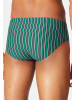 Schiesser Mini Slip / Unterhose 95/5 Essentials - Cotton in Blau / grün
