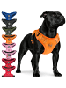 Reichstadt Reichstadt  Hundegeschirr  25RSP083 Orange L