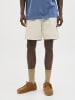 Jack & Jones Shorts in Moonbeam