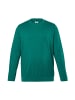Men Plus Kurzarm T-Shirt in grün