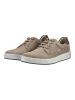 Pius Gabor Sneaker in Beige/Grau