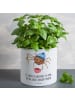 Mr. & Mrs. Panda XL Blumentopf Spinne Agathe Kaffee mit Spruch in Weiß