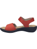 Josef Seibel Sandale Ibiza 13 in rot
