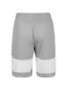 Puma Shorts Ultimate in grau / weiß