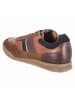 Bullboxer Schuh in braun