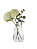 Butlers Butlers Vase SHAPE in Durchscheinend