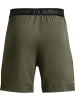 Under Armour Short "UA Vanish Stoffshorts, 15 cm" in Grün