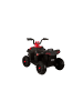 Wisam® S601 – Elektrische Fahrt auf dem Quad