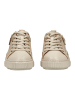 Pikolinos Sneaker in Beige