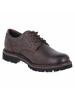 Sioux Schnürhalbschuh in brown