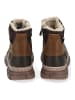 Tom Tailor Stiefelette in Cognac