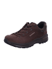 LOWA Wanderschuhe RENEGADE EVO GTX LO in Braun