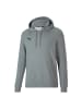 Puma Sweatshirt teamGOAL 23 Casuals Hoody in grau