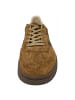 Gant Sneaker Cuzima in Braun
