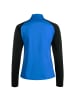 Puma Trainingspullover TeamLIGA 1/4 Zip in blau / schwarz