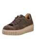 Gabor Sneaker in Mocca