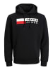 Jack & Jones Sweatshirt JJECORP LOGO in verschiedene