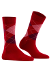 Burlington Socken Marylebone in Cranberry